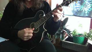 Video thumbnail for Irishman's Heart to the Ladies Michael Kelly Mandolin by barbarashultz