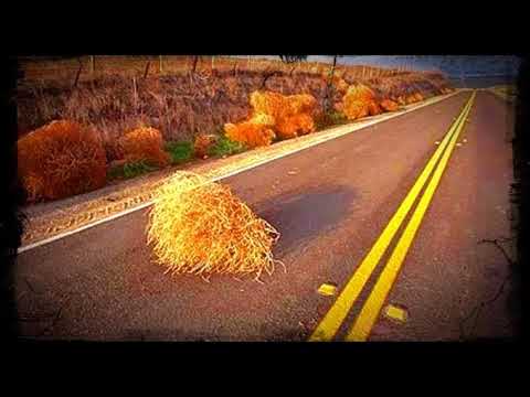 APG FLOW - NACE Y MUERE SOLO