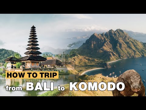 How to trip from Bali to Komodo