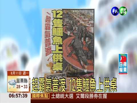 超霸氣普渡 12隻鱷魚上供桌