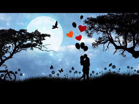 Thể hiện bởi Trịnh Nam Sơn