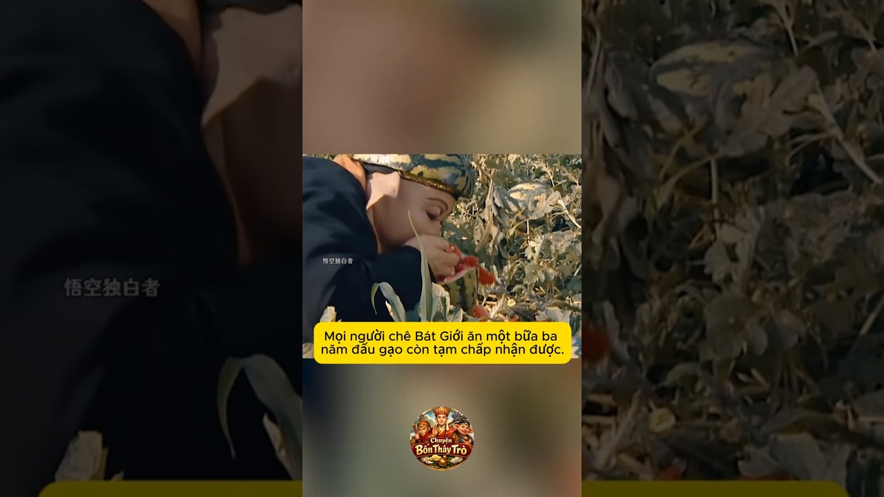 Sự thật lý do Trư Bát Giới luôn cảm thấy đói trong Tây Du Ký