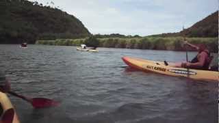 preview picture of video 'Ali'i Kayaks on Kauai offers a kayaking waterfall eco adventure on the beautiful Wailua River'