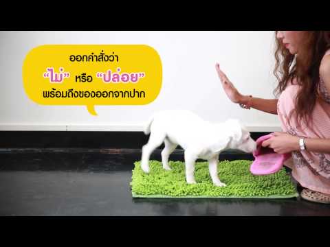 ขนมอบบางส่วนอยู่ในโรคสะเก็ดเงิน วิธี Khvorostova สำหรับการรักษาโรคสะเก็ดเงิน