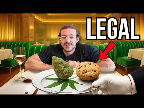 I Reviewed Legal Weed Lounges
