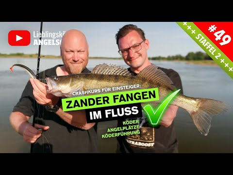 So fängst du ZANDER im Fluss ✅