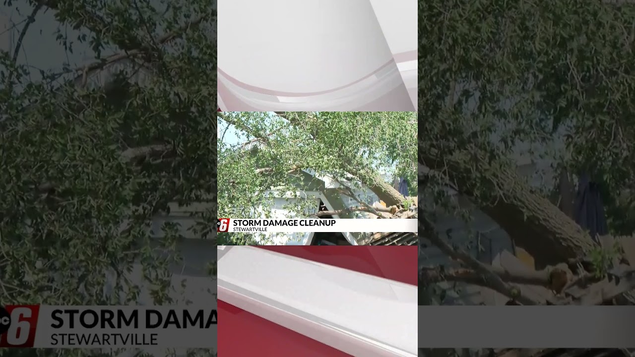 Storm cleanup begins in Stewartville