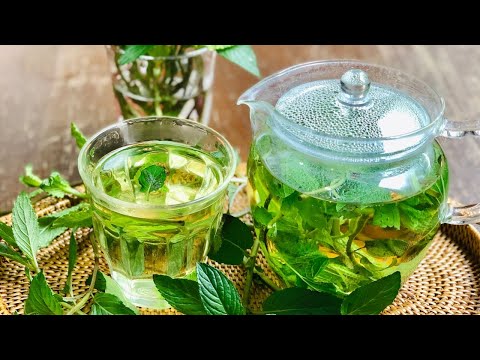 医療ビジネス薬科学科 ストレスをハーブで吹き飛ばす🌿