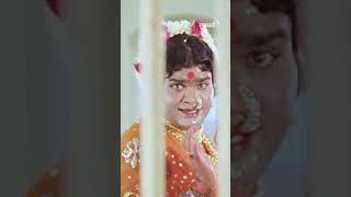 Download lagu Navi Navi Navari Mee | Marathi Song | Ashok Saraf | Gulchhadi | #ultrajhakaas mp3