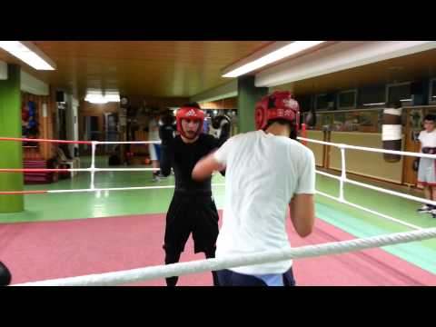Sparring VfL Sindelfingen