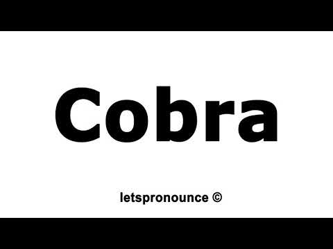 How to Pronounce Cobra