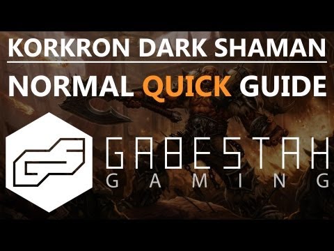 Kor'kron Dark Shaman Normal Quick Raid Guide [VOX]