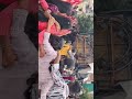 Timli Ni Moj Timli Timlidance Aadivasi Vasava Adivasidance