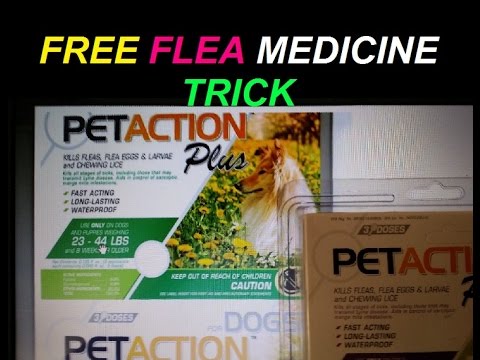 Flea Medicine HACK - Using Proportions To Get More Flea Medicine For Dogs Cats