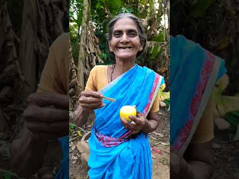 Fun Ball Ice Cream tasting with family