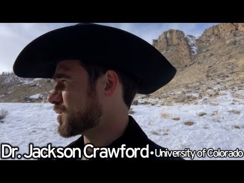 Honor and shame in Norse society