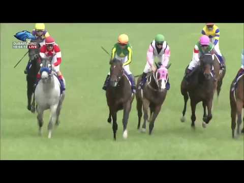 2017.06.04 Yasuda Kinen (JPN) - Satono Aladdin