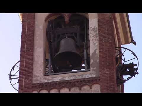 Le campane di Busto Garolfo (MI) - Distesa (1)