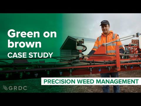 Green on brown case study: Precision weed management