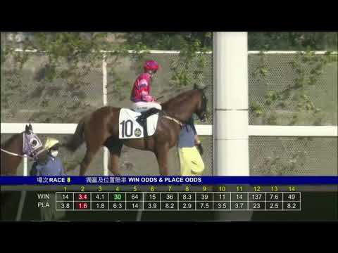 2022 04 03 沙田 第八場 傲龍駒 蔡明紹