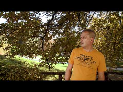 IGOR IN ZLATI ZVOKI - VEDNO PRVI