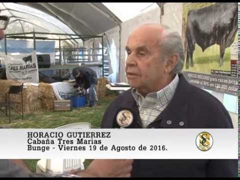 19-08-16 Nota Horacio Gutierrez - Cabaña Tres Marìas - Bunge.