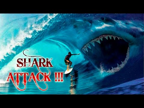 Los Super Avengers-Shark Attack !