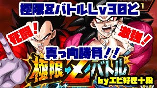 【F新規】ドッカンバトル実況　[Part349]　～超４の極限ZバトルLv30と真っ向勝負！！～