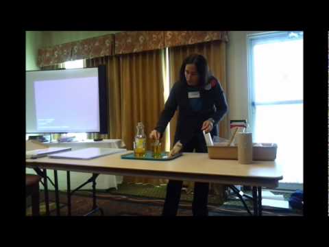 Magic Tricks with Refraction - Teslamania 2011