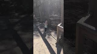 zoo day #zoo #subscribers #subscribe #loop #mybabygirl #fun #familytime #amazing #lollipop