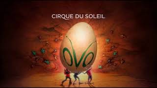 【高音質】Cirque du Soleil　OVO　Banquete