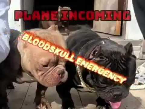 Bloodskull emergency