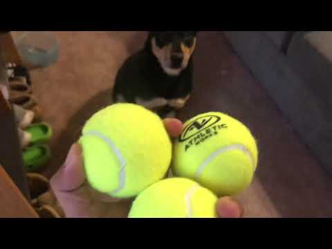 Making a bola (a 3 piece rope with balls at each end of it)