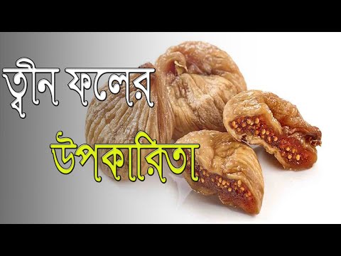 ত্বীন ফল বা আঞ্জিরের উপকারিতা ও তিন ফল খাওয়ার নিয়ম । Twin fruit । Benefits । Touch 5.0 .