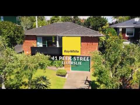 41 Peek Street, Ellerslie - Nick Lyus