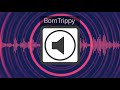 1 Hour Loop Of BornTrippy Slap House EDM Sound Effect
