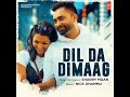 DIL DA DIMAAG | Audio Reverb | Sharry Maan | Latest Punjabi song | #slowedandreverb #lyrics