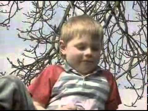 Teletubbies Alimentar a los corderitos Españoldescargaryoutube com