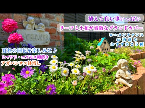 園芸 花でカバーする