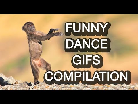 Funny Dancing Gifs