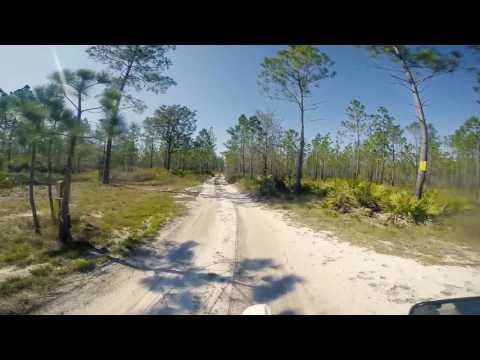 Crewzin Point Washington State Forest