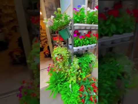 SORIANO NEL CIMINO ITALY PART 3 21/06/2023 TRAVEL