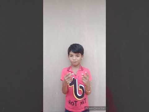 Introducing my dog in our channel