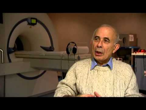 En hjärnas födelse och död - Den mognande hjärnan