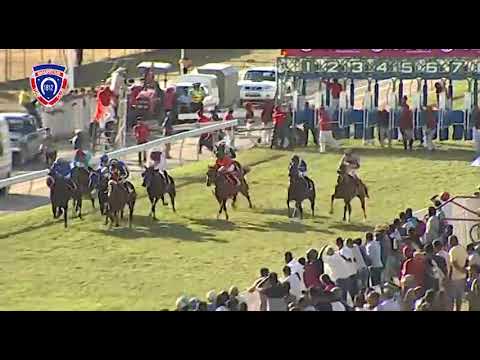 RM32 R8 - Southern Sun