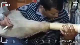 أروع التقاسيم على آلة الوتار نورالدين اورحو noureddine ourahou