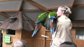 Monde Sauvage Safari & Zoo Parc Aywaille Belgium