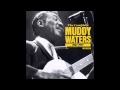 Muddy Waters, Come home baby, I wish you would