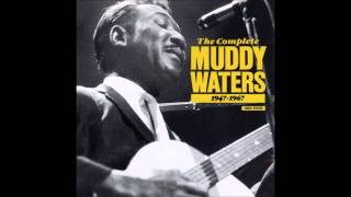 Muddy Waters, Come home baby, I wish you would