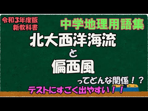 スフィルナ ジガエナ (線画).jpg